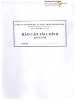 Báo cáo tài chính quý 1 năm 2014 - Công ty Cổ phần Đầu tư Phát triển Nhà Đà Nẵng