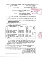 Báo cáo tình hình quản trị công ty - Công ty cổ phần Dịch vụ Hàng không Sân bay Đà Nẵng