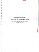 Báo cáo tài chính hợp nhất năm 2015 (đã kiểm toán) - Công ty Cổ phần Lilama 3