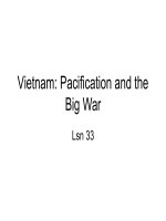 Vietnam: Pacification and the Big War
