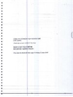 Báo cáo tài chính năm 2010 (đã kiểm toán) - Công ty cổ phần Dịch vụ Vận tải Dầu khí Cửu Long