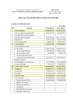 Báo cáo tài chính quý 3 năm 2009 - Công ty cổ phần Du lịch Dầu khí Phương Đông