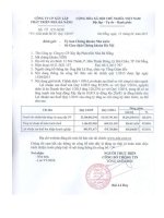 Báo cáo tài chính quý 1 năm 2015 - Công ty Cổ phần Xây lắp Phát triển Nhà Đà Nẵng