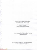 Báo cáo tài chính hợp nhất năm 2015 (đã kiểm toán) - Công ty Cổ phần Dược trung ương Medipharco - Tenamyd