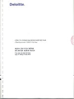Báo cáo tài chính năm 2014 (đã kiểm toán) - Công ty cổ phần Bao bì Dầu khí Việt Nam