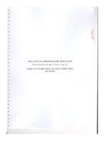 Báo cáo tài chính năm 2012 (đã kiểm toán) - Công ty Cổ phần Đầu tư Phát triển Nhà Đà Nẵng