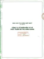 Báo cáo tài chính hợp nhất quý 1 năm 2013 - Công ty cổ phần Đầu tư và Phát triển Đô thị Long Giang