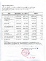 Báo cáo tài chính quý 4 năm 2014 - Công ty Cổ phần Bột giặt Lix