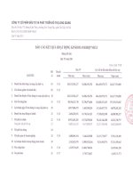 Báo cáo KQKD hợp nhất quý 4 năm 2011 - Công ty cổ phần Đầu tư và Phát triển Đô thị Long Giang