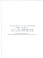 Báo cáo tài chính hợp nhất năm 2015 (đã kiểm toán) - Công ty cổ phần Đầu tư và Phát triển Đô thị Long Giang