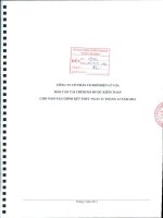 Báo cáo tài chính năm 2013 (đã kiểm toán) - Công ty Cổ phần Đầu tư Cầu đường CII