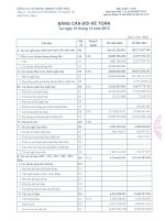 Báo cáo tài chính quý 4 năm 2013 - Công ty cổ phần Chứng khoán Liên Việt