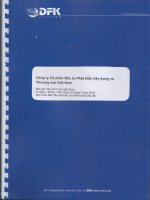 Báo cáo tài chính quý 2 năm 2015 (đã soát xét) - Công ty cổ phần Đầu tư Phát triển Xây dựng và Thương mại Việt Nam