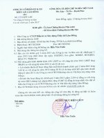 Báo cáo tài chính hợp nhất quý 2 năm 2013 - Công ty Cổ phần Đầu tư và Xây dựng Thủy lợi Lâm Đồng