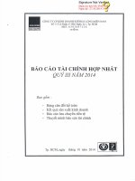 Báo cáo tài chính hợp nhất quý 3 năm 2014 - Công ty Cổ phần Kinh doanh Khí hóa lỏng Miền Nam