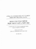 Báo cáo tài chính hợp nhất quý 2 năm 2014 (đã soát xét) - Công ty cổ phần Đầu tư và Phát triển Đô thị Long Giang