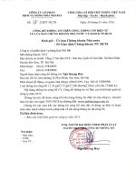 Báo cáo tình hình quản trị công ty - Công ty Cổ phần Dịch vụ Hàng hóa Nội Bài