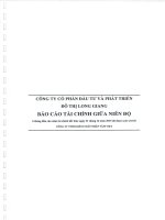 Báo cáo tài chính công ty mẹ quý 2 năm 2015 (đã soát xét) - Công ty cổ phần Đầu tư và Phát triển Đô thị Long Giang