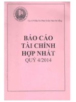 Báo cáo tài chính hợp nhất quý 4 năm 2014 - Công ty Cổ phần Đầu tư Phát triển Nhà Đà Nẵng