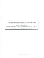 Báo cáo tài chính quý 2 năm 2013 (đã soát xét) - Công ty Cổ phần Khai thác và Chế biến Khoáng sản Lào Cai