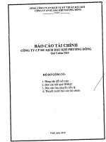 Báo cáo tài chính quý 1 năm 2010 - Công ty cổ phần Du lịch Dầu khí Phương Đông
