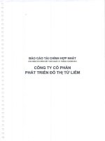 Báo cáo tài chính hợp nhất năm 2012 (đã kiểm toán) - Công ty Cổ phần Phát triển Đô thị Từ Liêm