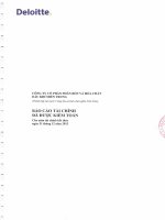 Báo cáo tài chính năm 2013 (đã kiểm toán) - Công ty cổ phần Phân bón và Hóa chất Dầu khí Miền Trung