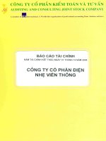 Báo cáo tài chính năm 2005 (đã kiểm toán) - Công ty cổ phần Điện nhẹ Viễn thông