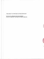 Báo cáo tài chính hợp nhất quý 2 năm 2014 (đã soát xét) - Tổng Công ty Cổ phần Dịch vụ Tổng hợp Dầu khí