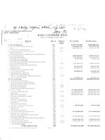 Báo cáo tài chính quý 1 năm 2007 - Công ty Cổ phần Thủy điện Nà Lơi