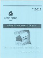 Báo cáo thường niên năm 2015 - Công ty cổ phần Đầu tư và Phát triển Đô thị Long Giang