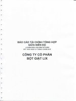 Báo cáo tài chính quý 2 năm 2015 (đã soát xét) - Công ty Cổ phần Bột giặt Lix