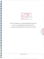 Báo cáo tài chính hợp nhất năm 2013 (đã kiểm toán) - Công ty cổ phần Đầu tư và Phát triển Đô thị Long Giang