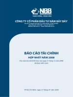 Báo cáo tài chính hợp nhất năm 2008 (đã kiểm toán) - Công ty Cổ phần Đầu tư Năm Bảy Bảy