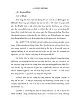 skkn nâng cao năng lực hoạt động của ban chỉ huy liên – chi đội trong trường tiểu học 