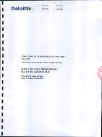 Báo cáo tài chính công ty mẹ năm 2013 (đã kiểm toán) - Tổng Công ty Cổ phần Dịch vụ Tổng hợp Dầu khí
