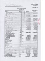 Báo cáo tài chính công ty mẹ quý 1 năm 2016 - Công ty Cổ phần Licogi 13