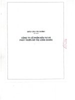 Báo cáo tài chính công ty mẹ quý 1 năm 2015 - Công ty cổ phần Đầu tư và Phát triển Đô thị Long Giang