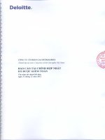 Báo cáo tài chính hợp nhất năm 2012 (đã kiểm toán) - Tổng Công ty Gas Petrolimex-CTCP