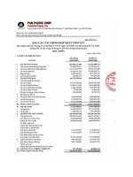 Báo cáo tài chính hợp nhất quý 3 năm 2009 - Công ty Cổ phần Tập đoàn PAN