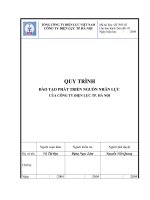 QUY TRÌNH ĐÀO TẠO PHÁT TRIỂN NGUỒN NHÂN LỰC CỦA CÔNG TY ĐIỆN LỰC TP. HÀ NỘI