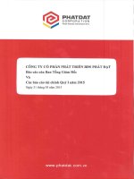 Báo cáo tài chính quý 1 năm 2015 - Công ty cổ phần Phát triển Bất động sản Phát Đạt