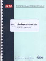 Báo cáo tài chính quý 2 năm 2015 (đã soát xét) - Công ty Cổ phần Gạch Ngói Nhị Hiệp