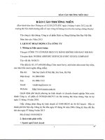 Báo cáo thường niên năm 2013 - Công ty Cổ phần Dịch vụ Hàng không Sân bay Nội Bài