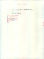 Báo cáo tài chính công ty mẹ quý 4 năm 2015 - Công ty cổ phần Đầu tư Thế giới Di động