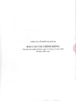 Báo cáo tài chính công ty mẹ năm 2008 (đã kiểm toán) - Công ty cổ phần LICOGI 16