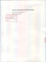 Báo cáo tài chính công ty mẹ quý 2 năm 2015 - Công ty cổ phần Đầu tư Thế giới Di động