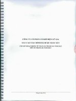 Báo cáo tài chính quý 2 năm 2013 (đã soát xét) - Công ty Cổ phần Đầu tư Cầu đường CII