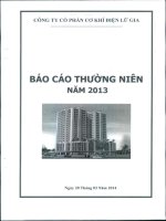 Báo cáo thường niên năm 2013 - Công ty Cổ phần Đầu tư Cầu đường CII