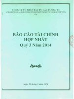 Báo cáo tài chính hợp nhất quý 3 năm 2014 - Công ty Cổ phần Đầu tư Cầu đường CII